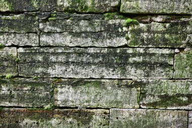 Taş zemin, yosun, taşlar, eski tuğlalar.