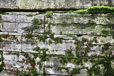 Taş zemin, yosun, taşlar, eski tuğlalar.