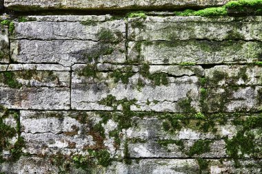 Taş zemin, yosun, taşlar, eski tuğlalar.