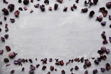 Gri arkaplanda kuru çiçekler. 