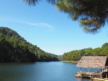 Pang Oung, gölde Mae Hong Son, Tayland, Kuzey limanında bambu