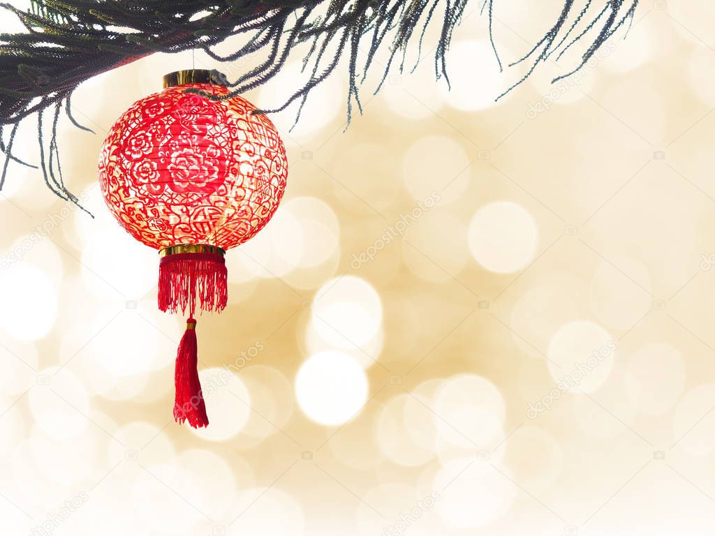 Chinese lantern on pine tree isolate over golden bokeh for Chine