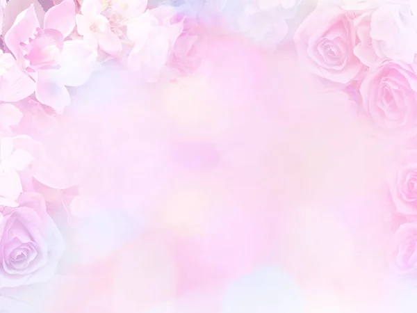 Rosa flores estilo suave com efeito de filtro vintage . — Fotografia de Stock