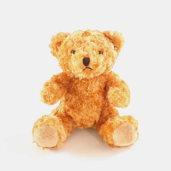 Gouden bruin teddybeer — Stockfoto
