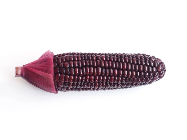 Röd majs isolerad på vit bakgrund — Stockfoto