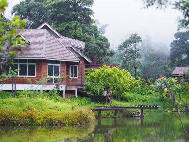 yeşil bahçe ve sis kanalda ev 