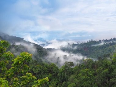 Sis ve bulutlar yağmur mevsimi dağlarda yukarıda 