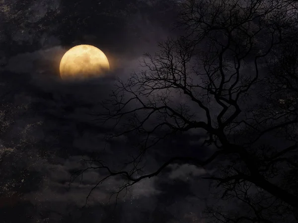 Хэллоуин небо с мертвым фоном дерева — стоковое фото