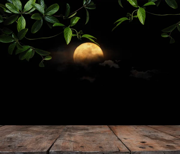 Зеленое ползучее растение и деревянный стол в полнолуние ночью . — стоковое фото