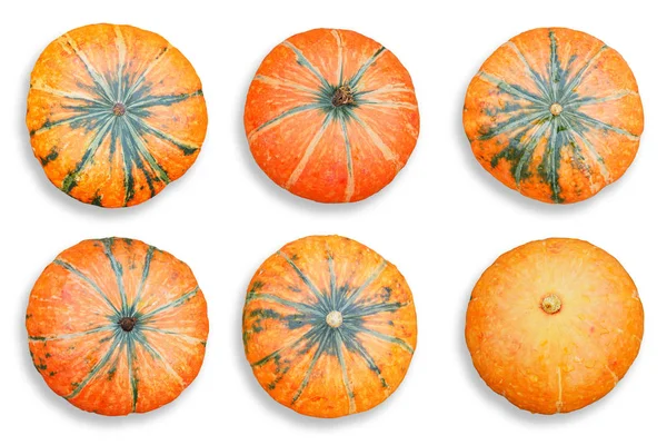 Set oranje pompoenen geïsoleerd op witte achtergrond. — Stockfoto