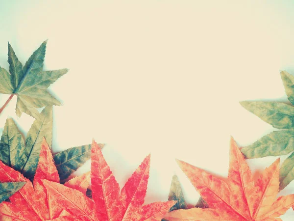 Beyaz arka plan üzerinde kumaş çerçeve akçaağaç yaprakları — Stok fotoğraf