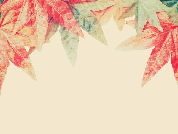 Marco de tela de hojas de arce sobre fondo blanco — Foto de Stock