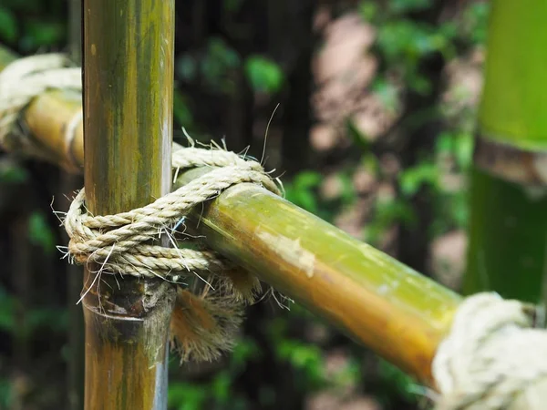 Amarrado círculo corda no pólo de bambu . — Fotografia de Stock