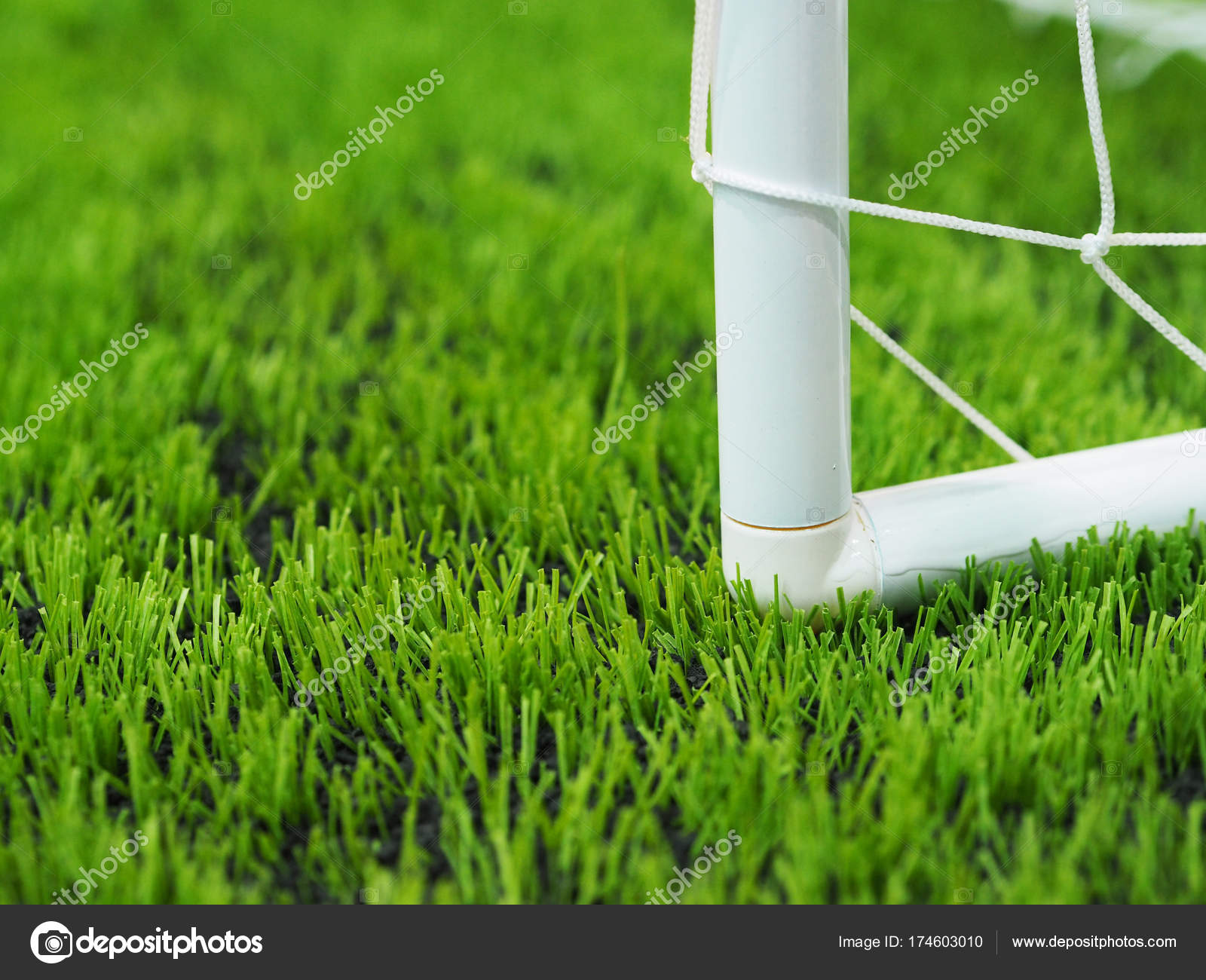 Zelenaya Trava Na Futbolnom Ili Futbolnom Pole Stokovoe Foto C P Kanchana Zelenaya Trava Na Futbolnom Ili Futbolnom Pole Stokovoe Foto C P Kanchana