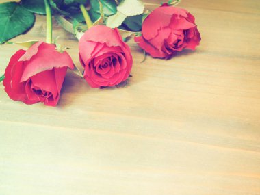 kahverengi ahşap üzerine yeşil yaprakları ile kırmızı gül 