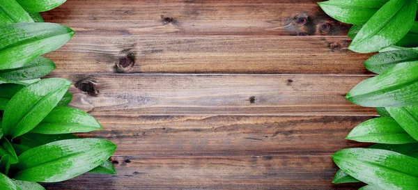 Zelené listy s čůrky na vinobraní hnědé dřevo — Stock fotografie