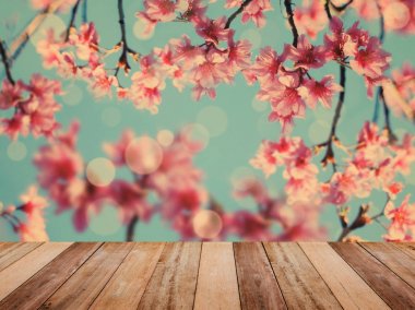 Masa üstü tam Bloom kiraz çiçekleri Pembe çiçek üzerinde
