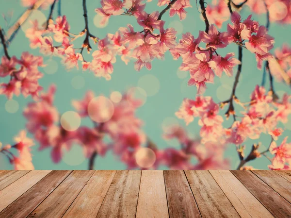 Mesa sobre flores de cerezo rosa flor en plena floración —  Fotos de Stock