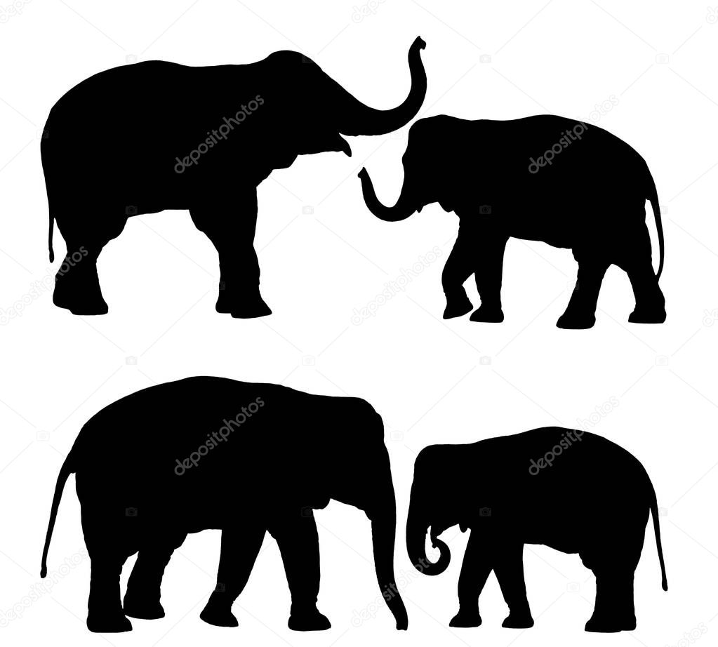 silhouette side view elephant family 