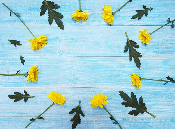 Flores de crisantemos amarillos en madera azul vintage . —  Fotos de Stock