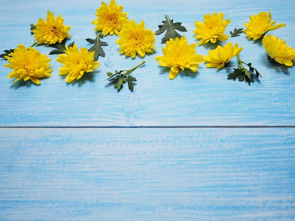 옐로우 빈티지 블루 나무에 국화 꽃. — 스톡 사진