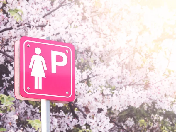 Lady parking sign over flowers blur background. — Stock Photo, Image