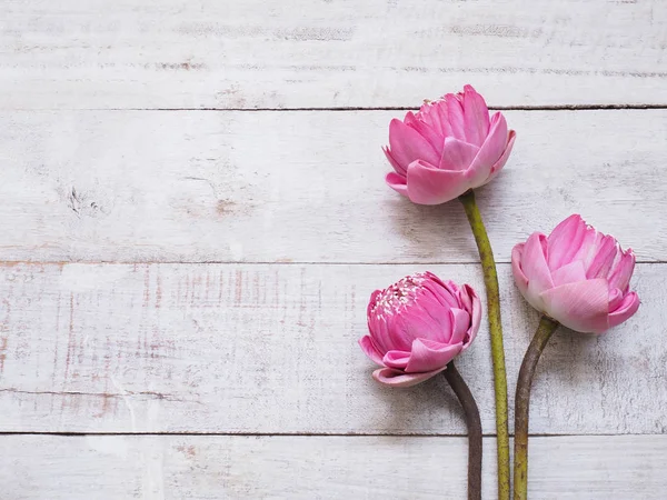 Rosa Lotusblumen auf Holztisch. — Stockfoto