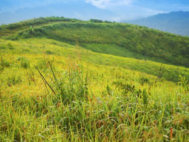 Nan 'ın Doi Suan Ya Luang şehrinde sabah güzel bir gündoğumu ile birlikte yeşil çimenler..