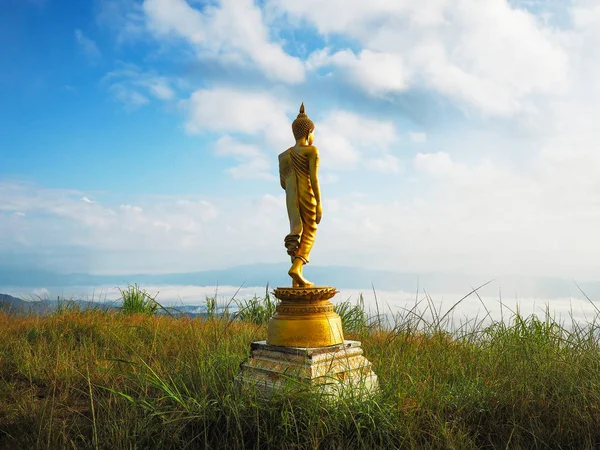 Back view of golden great buddha statue on the top of mountain — Stock Photo, Image