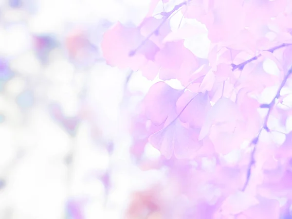 Abstract floral background of ginger leaves in pastel colors — 스톡 사진