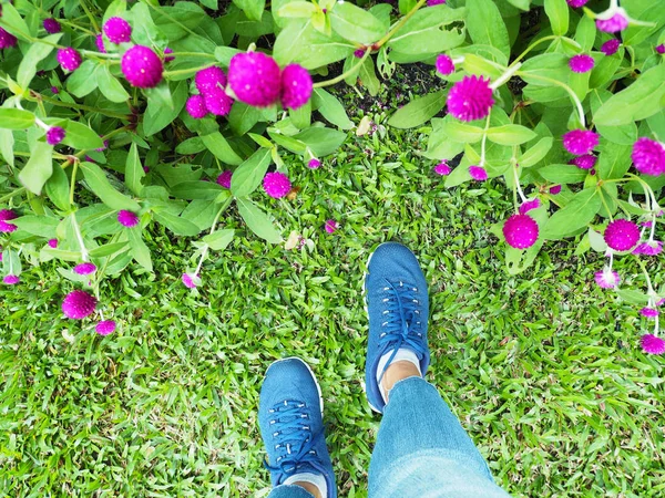Nő láb -ban kék tornacipő séta zöld fű. — Stock Fotó