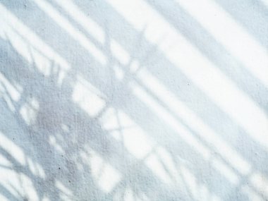 Dışarıdan gelen ışık ve gölge camdan odaya giriyor.