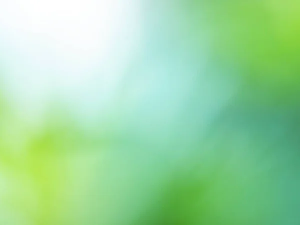 Abstract green natural blur background. — Stock Photo, Image