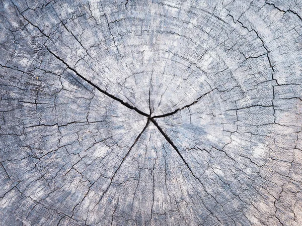 Kemény fa textúra és háttér. — Stock Fotó