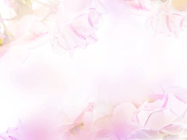 Çiçek zemin yumuşak tarzı ile mor çiçek.