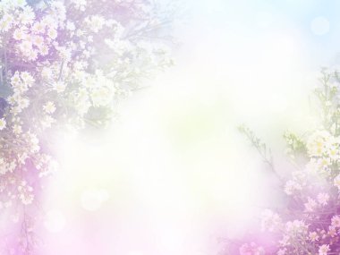 Kopyalama Boşluğu Olan Soyut Çiçek Arkaplanı. 