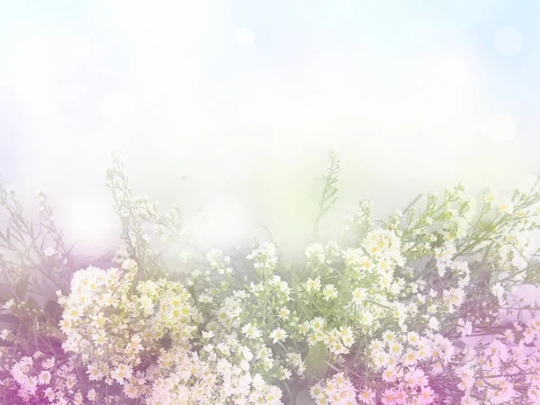 Abstract floral background with copy space. — Stock Photo, Image