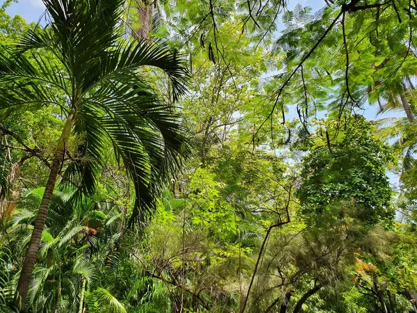 Biologisk mångfald i flora och vård av miljön — Stockfoto