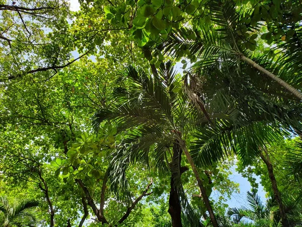 Biologisk mångfald i flora och vård av miljön — Stockfoto