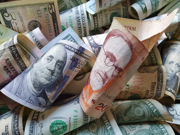 Uruguaylı ve Amerikan paralarının döviz kuru