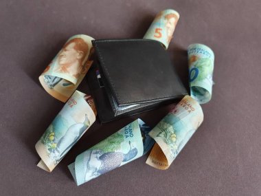 Yeni Zelanda parasıyla ekonomi ve finans