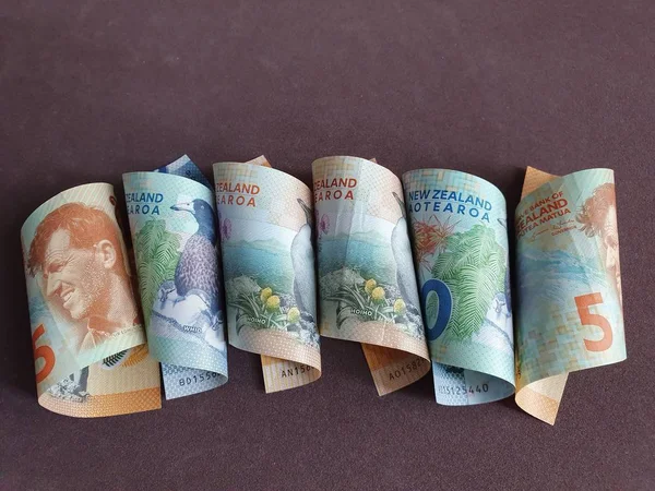 Economy and finance with New Zealand money — Stock Photo, Image