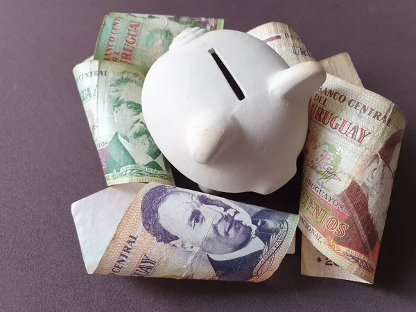 Wirtschaft und Finanzen mit uruguayischem Geld — Stockfoto