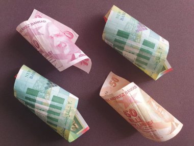 Türk ve İsrail paralarının döviz kuru