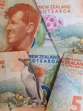 Farklı mezhepler, arkaplan ve dokulara sahip Yeni Zelanda banknotlarına yaklaşım
