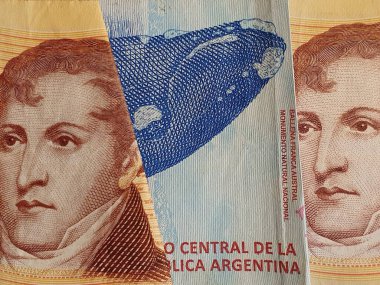 farklı mezhepler, arka plan ve dokulara sahip Arjantin banknotlarına yaklaşım