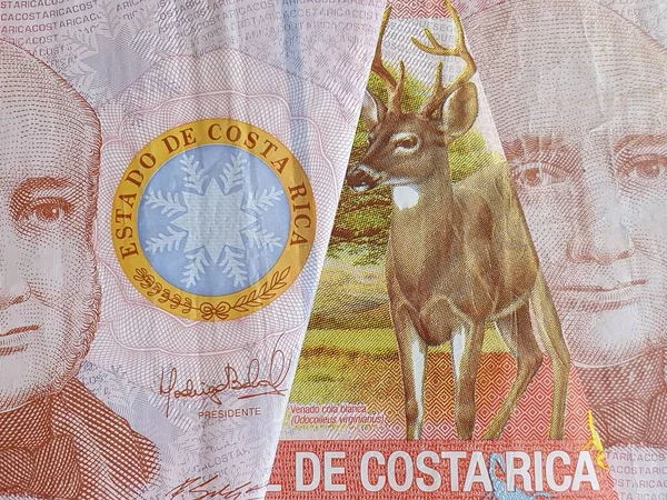 Inflygning Till Costa Ricas Sedlar Med 1000 Kolon Bakgrund Och — Stockfoto