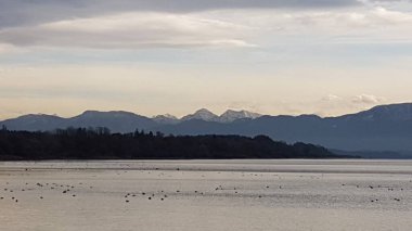 Sonbahar mevsiminde Almanya 'nın Chiemsee Gölü' ndeki manzara