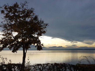 Sonbahar mevsiminde Almanya 'nın Chiemsee Gölü' ndeki manzara