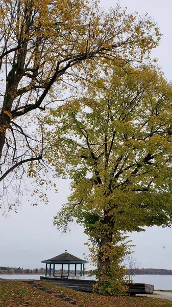 Ландшафт Озера Кимзее Германия Осенний Сезон — стоковое фото
